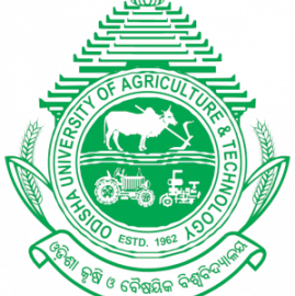 Odisha University of Agriculture and Technology Assistant Recruitment 2026: Apply Online for 31 Vacancies